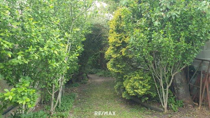 6.Grundstück mit Scheune