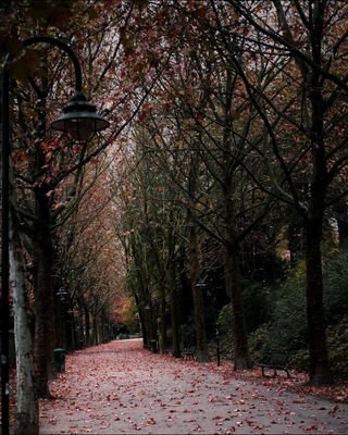 Vorankündigungsbild Herbst