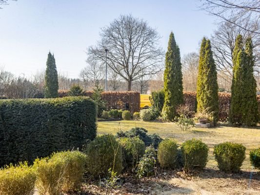 Blick in den Garten