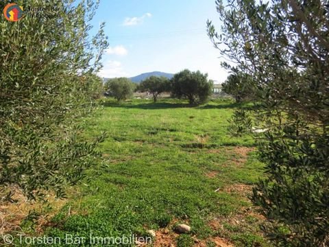 Makri-Gialos Grundstücke, Makri-Gialos Grundstück kaufen