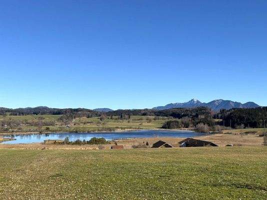 Umgebungsaufnahme mit Blick auf den Froschsee