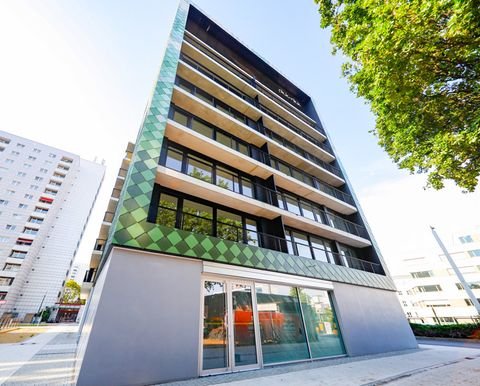 Dresden Stadt Wohnungen, Dresden Stadt Wohnung mieten