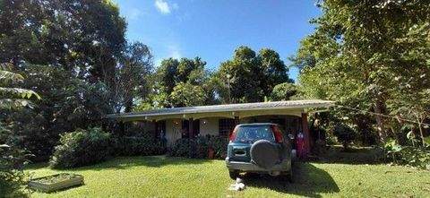 Bugaba Häuser, Bugaba Haus kaufen