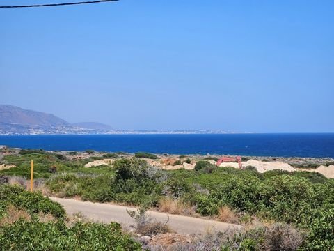 Kreta Bauernhöfe, Landwirtschaft, Kreta Forstwirtschaft