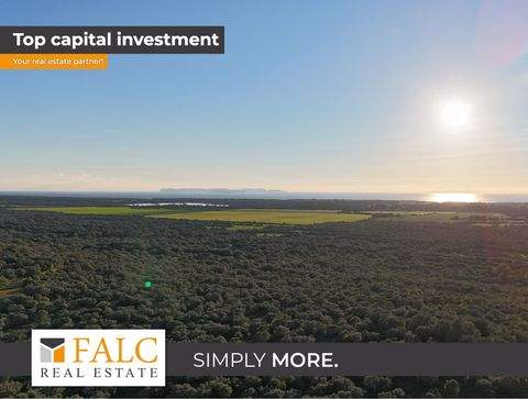 Ses Salines Grundstücke, Ses Salines Grundstück kaufen