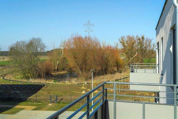 Blick auf den Kolterpfuhl