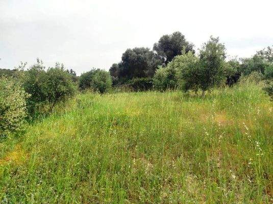 Kreta, Kastellos: Grundstück mit Meerblick zu verkaufen