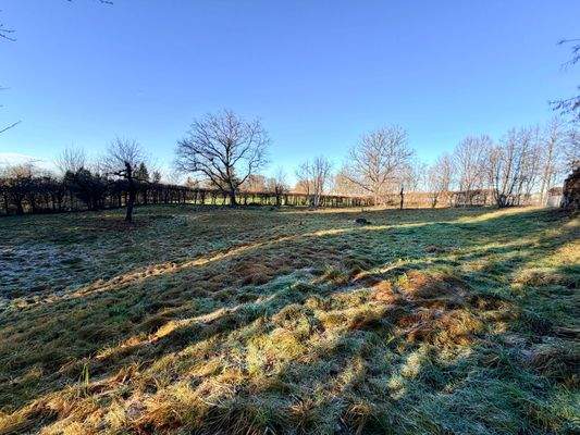 landwirtschaftliche Fläche
