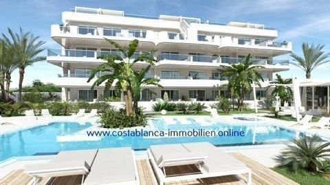 Lomas de Cabo Roig Wohnungen, Lomas de Cabo Roig Wohnung kaufen