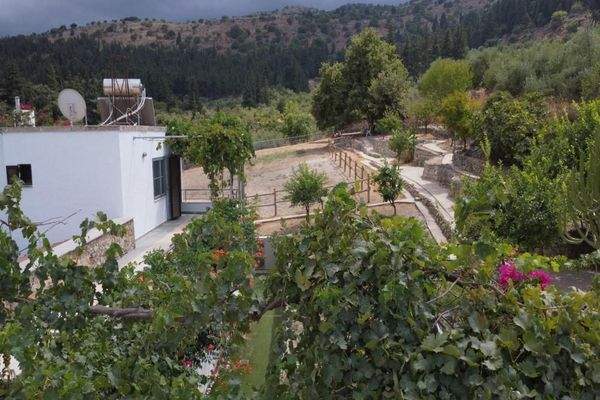 Kreta, Pemonia: Ruhiges und weitläufiges Anwesen zu verkaufen
