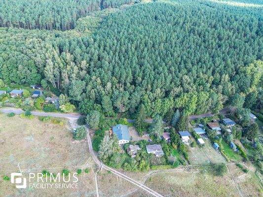 Wald hinter dem Haus