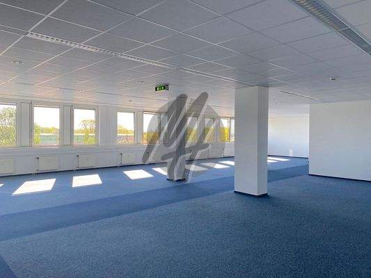 INFOS UNTER: 06171-586000