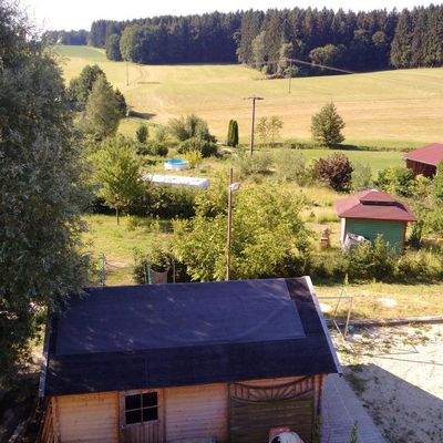 Blick in den Obstgarten