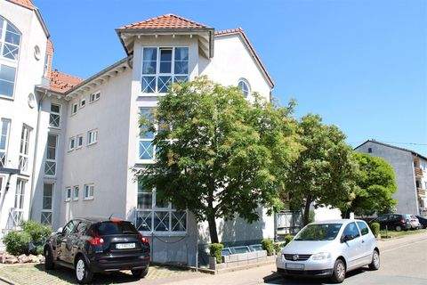 Eich , Rheinhessen Wohnungen, Eich , Rheinhessen Wohnung kaufen