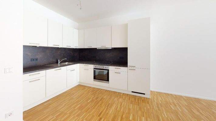 Wohnbereich mit offener Küche Muster