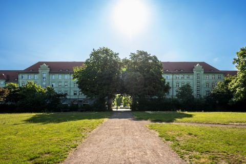 Halle (Saale) Wohnungen, Halle (Saale) Wohnung mieten