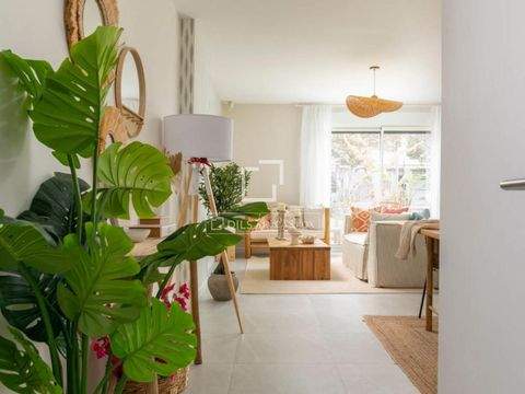 Ibiza Wohnungen, Ibiza Wohnung kaufen