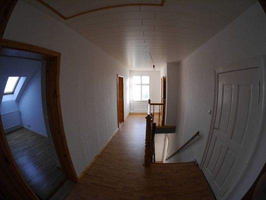 Foto T5 BFW (10).JPG