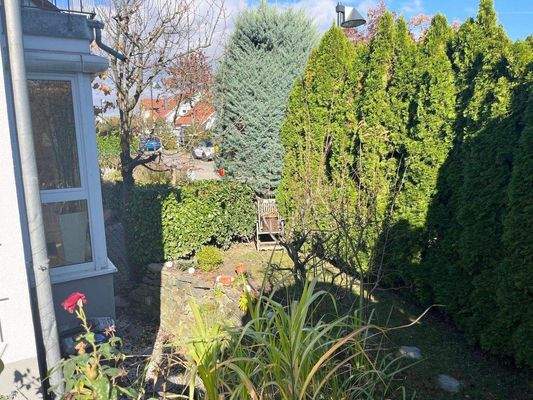 Pflegeleichter Garten!