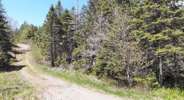 Cape Breton - 11,4 Hektar inmitten einer herrliche