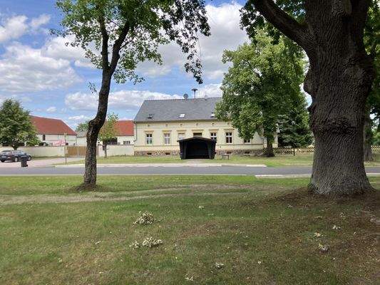 20250619_120527351_iOS