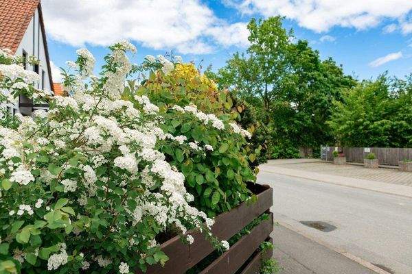 Umgebung_Bischofsweiherstr (1).jpg