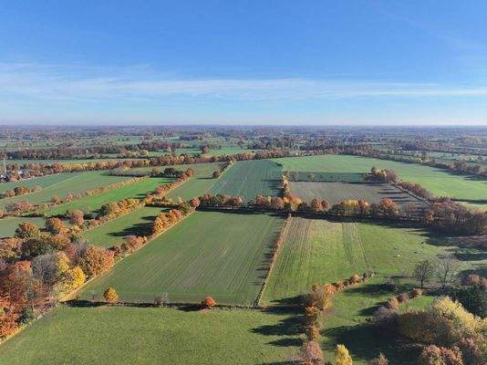 EFH-22958-Kuddewörde-Thonhauser-Immobilien-GmbH--4