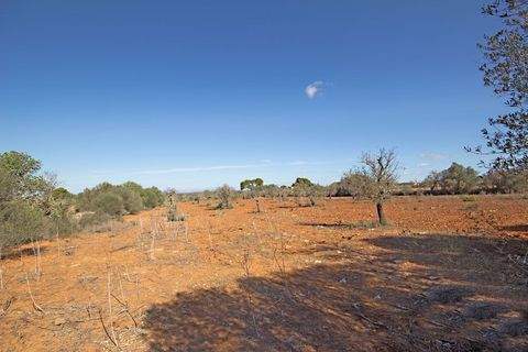 Cas Concos Grundstücke, Cas Concos Grundstück kaufen