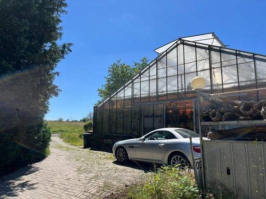 Gewächshaus 