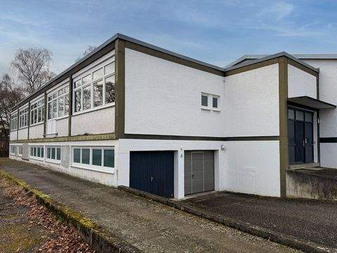 Reutlingen Halle, Reutlingen Hallenfläche