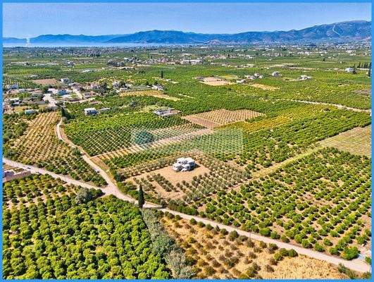 985be761fe04483eaecfadf2b0c4b62b-original