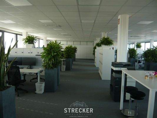 Großraumbereich IV OG