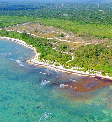 Alfredo V. Bonfil Grundstücke, Alfredo V. Bonfil Grundstück kaufen