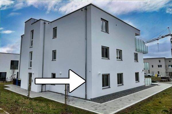 Seiten-/Hinteransicht