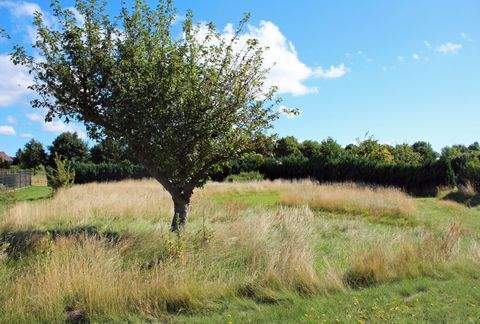 Born a. Darß Grundstücke, Born a. Darß Grundstück kaufen