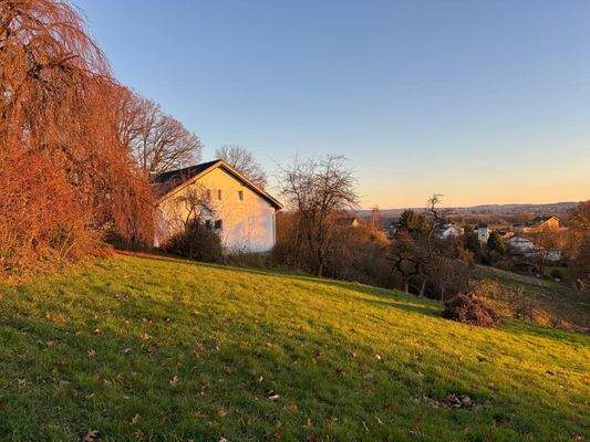 Wiese neben dem Haus