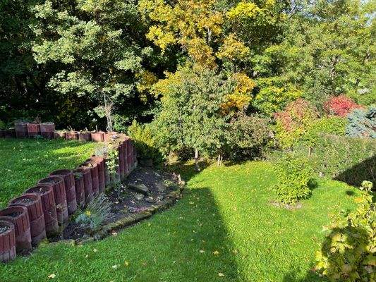 Blick in den Garten
