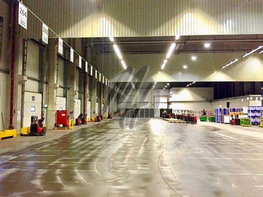 INFOS UNTER: 06171-586000