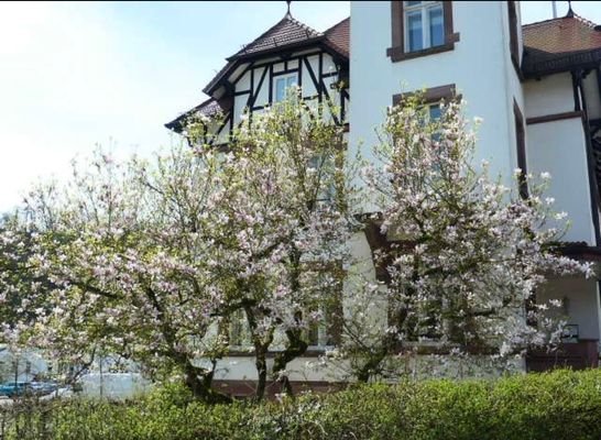 Villa in Bad Karlshafen