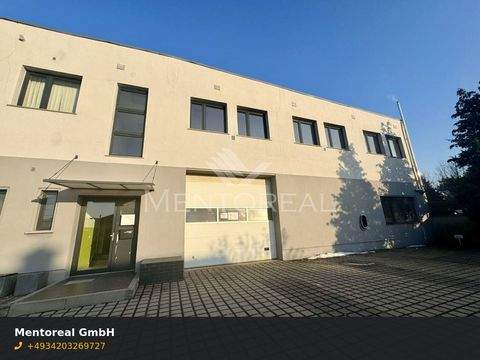 Markranstädt Halle, Markranstädt Hallenfläche