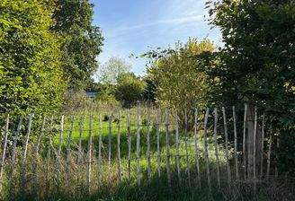 IMG_3422.jpeg