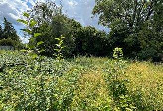 Garten-hinterer-Teil