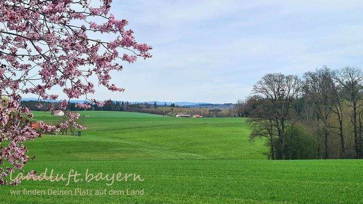 Blick vom Garten nach NO zum Bayrischen Wald.jpg
