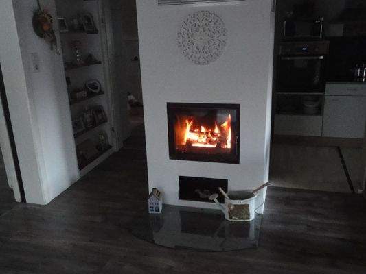 Wohnzimmer Kaminofen