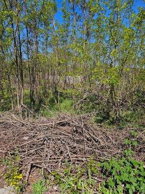 Abgrenzung letztes Flurstück