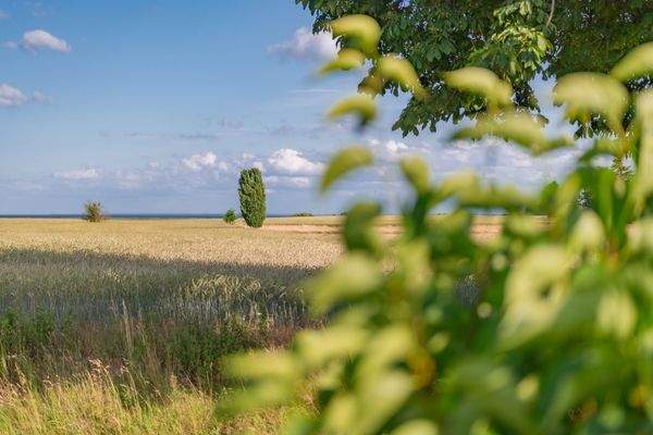 39-impression-umfeld-landhaus am haff-a5-meerflair