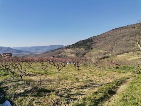 Kaldir Bauernhöfe, Landwirtschaft, Kaldir Forstwirtschaft