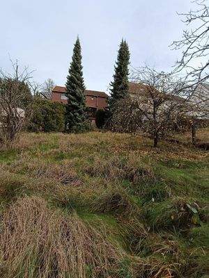Baugrundstück Garten