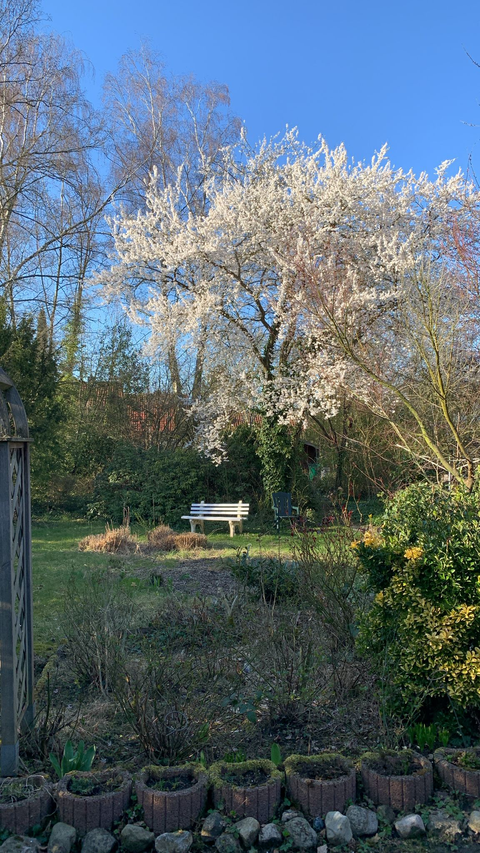 Bremen Häuser, Bremen Haus kaufen
