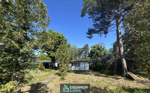 Am Mellensee Grundstücke, Am Mellensee Grundstück kaufen